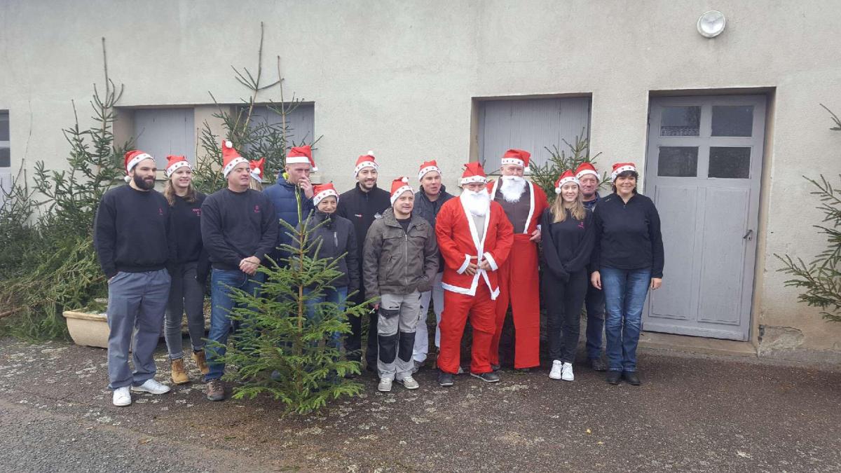 Sapins 2017
